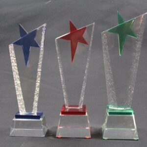 Crystal Glass Trophy